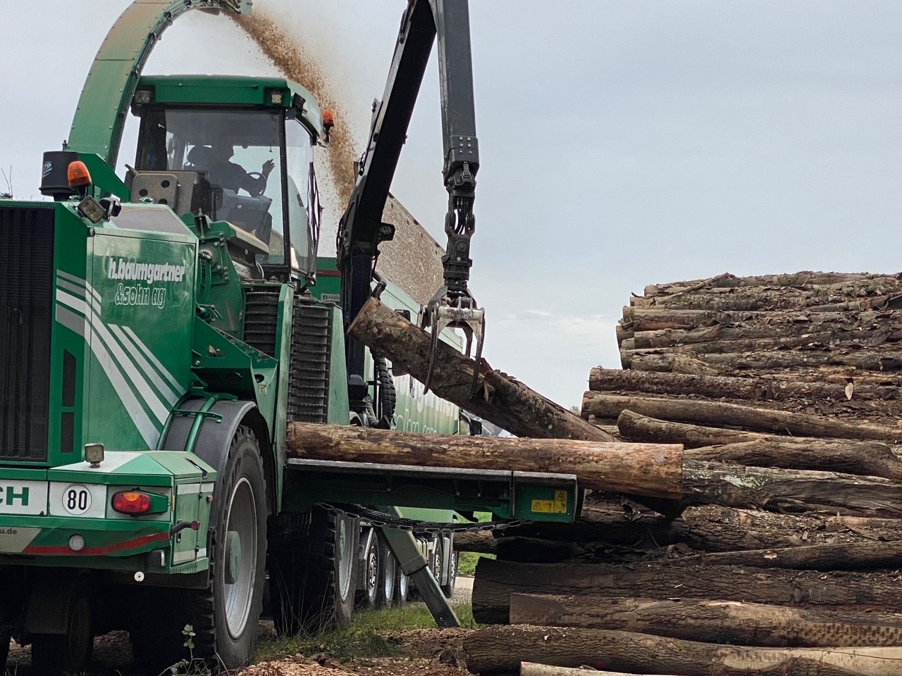 Energieholz Harvesta Holz-Werkstoff